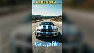 PET Film for car logo
